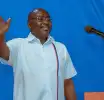No talent should be left out of 2028 campaign - Bawumia